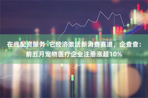 在线配资服务  它经济激活新消费赛道，企查查：前五月宠物医疗企业注册涨超10%