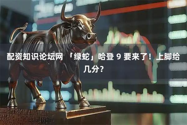 配资知识论坛网 「绿蛇」哈登 9 要来了！上脚给几分？
